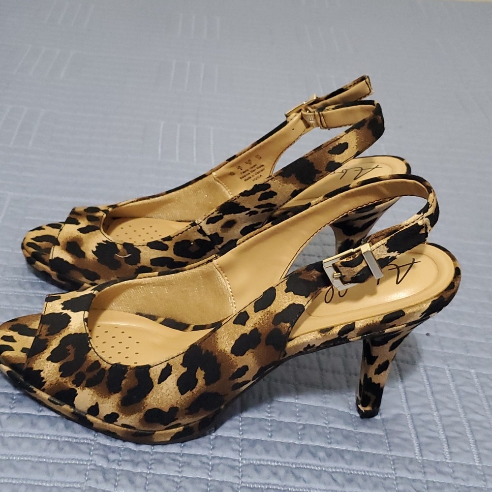 Shoe's - Picture 6 of 7